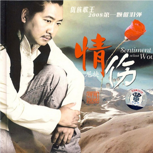 为什么受伤的总是我