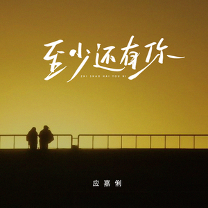 至少还有你 (梦幻氛围dj版)