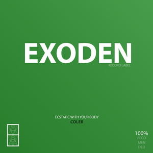 Ecstatic With Your Body (Original Mix)