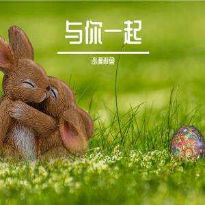 乌海到成都的风