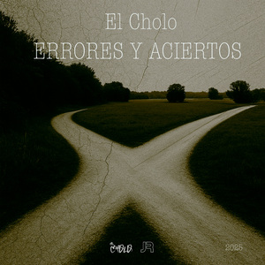 Errores y Aciertos