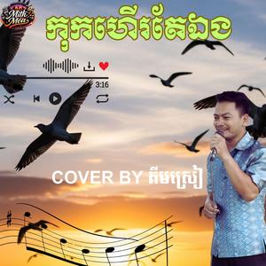 កុកហើរតែឯង ច្រៀងឡើងវិញដោយ គីមស្រៀង