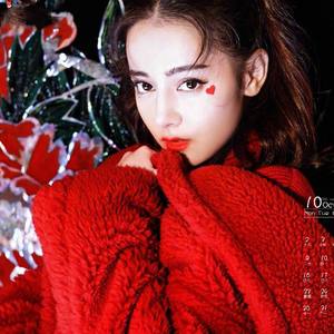 浴火成诗（翻自 迪丽热巴，毛不易）