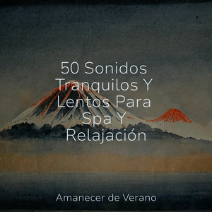 Recuerdos Musgosos Se Mezclan en la Niebla