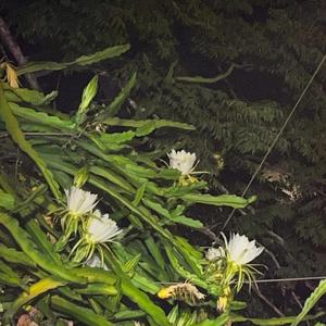 я передумал