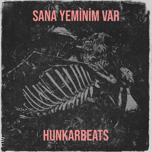 Sana Yeminim Var
