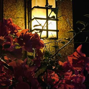 有天晚上我看见16岁的眼眸