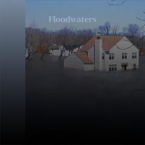 Floodwaters