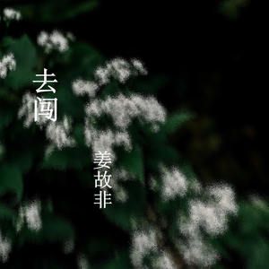 去闯