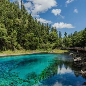 阳光雕琢的童趣时光