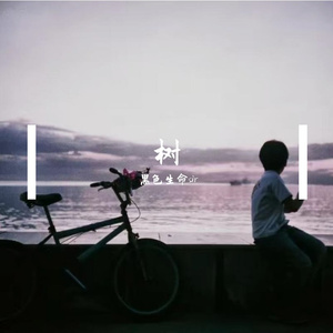 怪我更爱我自己