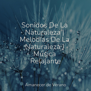 Danza Invernal Mística