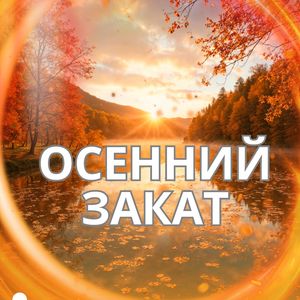 Шум осеннего дождя