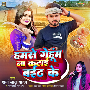 Hamse Gehu Na Katai Baith Ke