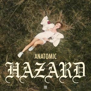 Hazard