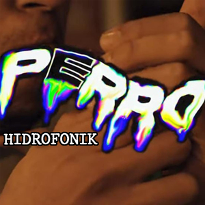 Perro