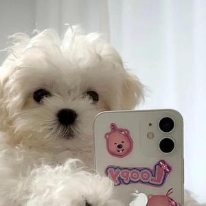 你会等我变女王的对吗