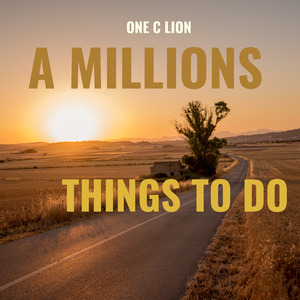 A Millions Things to Do