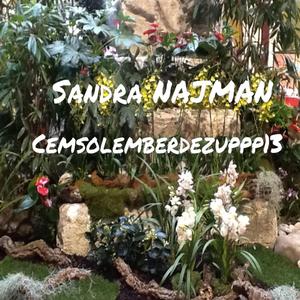 Cemsolemberdezuppp13 (mastered)
