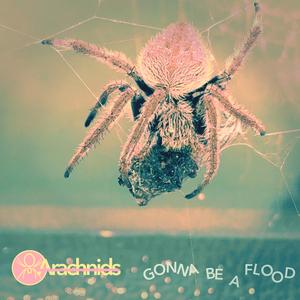 Gonna Be A Flood