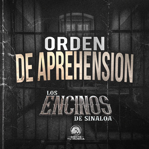 Orden De Aprehensión