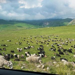 大雪封山三十年