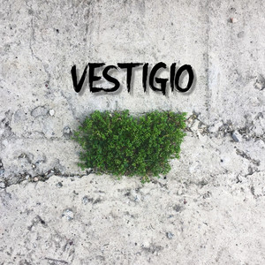 Vestigio