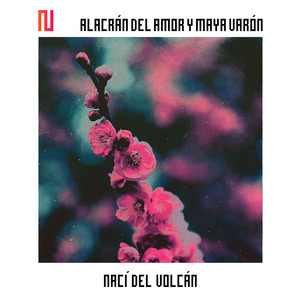 Nací del Volcán (Huehue Remix)