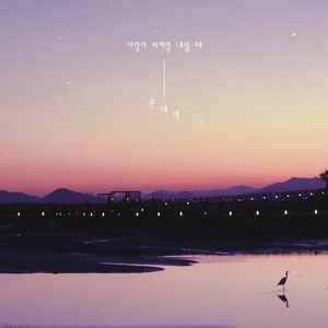 사랑이 비처럼 내릴 때