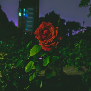 【free】对峙boombap type beat