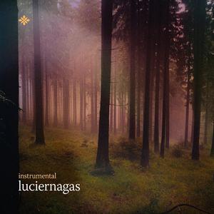 Luciernagas (Instrumental)