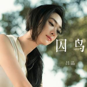 囚鸟 (dj女声版)