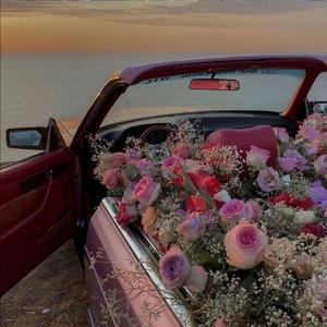 五月的风吹不走你