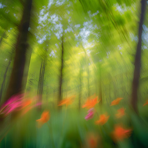 ゆったりできる 勉強リラックスカフェBGM