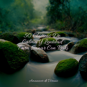 Desbordamiento etéreo