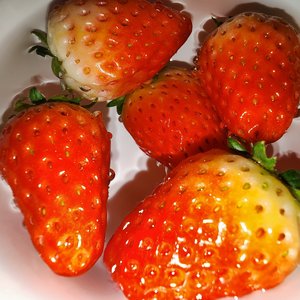 《负相位的潮汐》