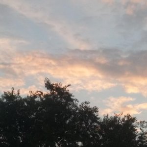 心还未晴