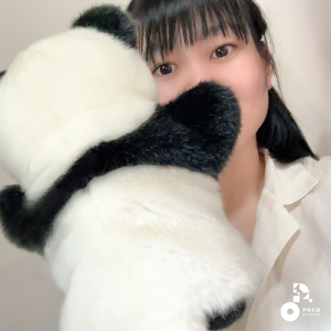 笹の葉パンダ (INSTRUMENTAL)