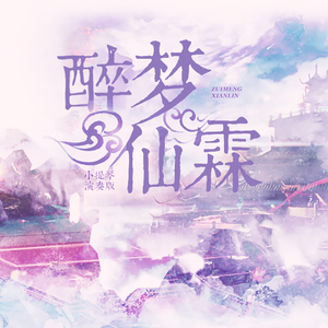 董贞 - 醉梦仙霖（小提琴演奏版）