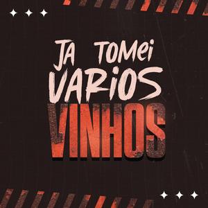 Já Tomei Vários Vinhos
