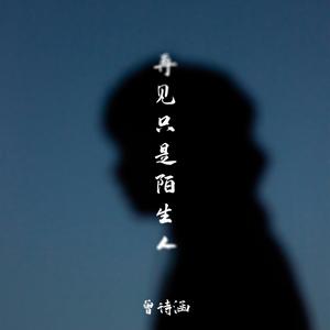 再见只是陌生人