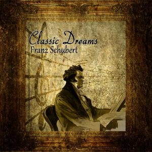 Sinfonía No.8 en B Major D759 "Inacabada": Andante con Moto