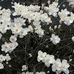 郑鱼-无缘（满目山河 remix）