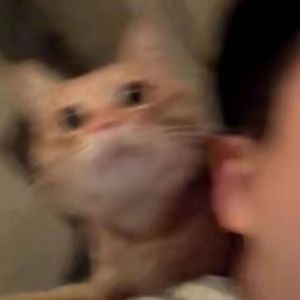 让爱意在夏秋里蔓延