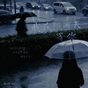 我在阴雨天等你
