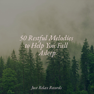 Whispers of Enchanted Groves