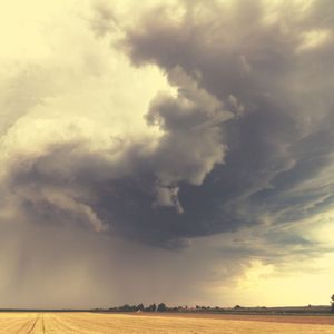 一尘不染学习印象数