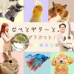 Rabbit Fly-うさぎとリビングで。