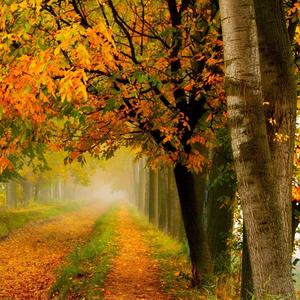 我不是孙悟空（抖音热搜版）