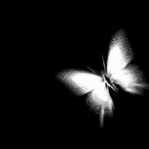 小熊维尼寻爱记